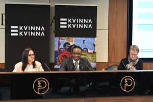 Voskre Naumoska Ilieva and Ristin Thomasson (Kvinna till Kvinna) and Tobi Oshilaja (British Embassy Skopje) delivering opening remarks at the Meeting.